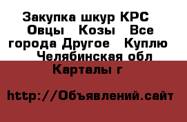 Закупка шкур КРС , Овцы , Козы - Все города Другое » Куплю   . Челябинская обл.,Карталы г.